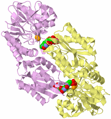 Image Biological Unit 2