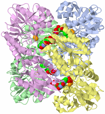 Image Biological Unit 3