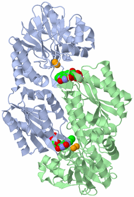 Image Biological Unit 1