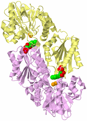 Image Biological Unit 2