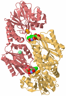 Image Biological Unit 3