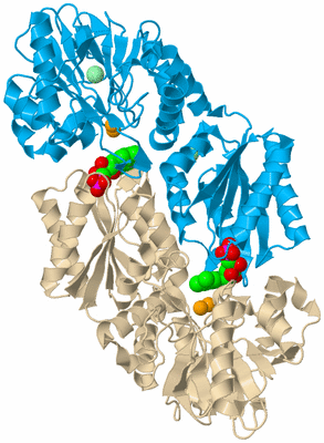 Image Biological Unit 4