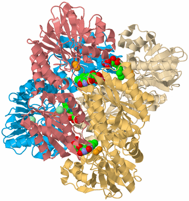 Image Biological Unit 5