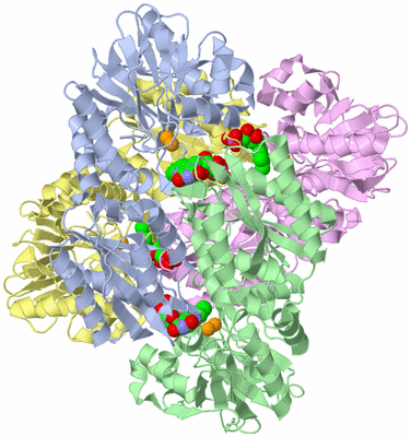 Image Biological Unit 6