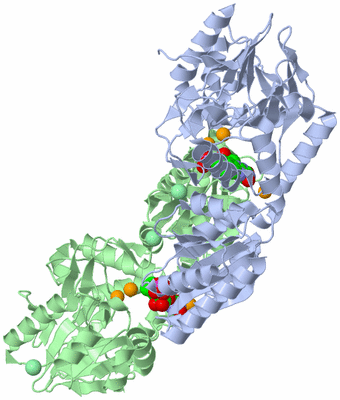 Image Biological Unit 1