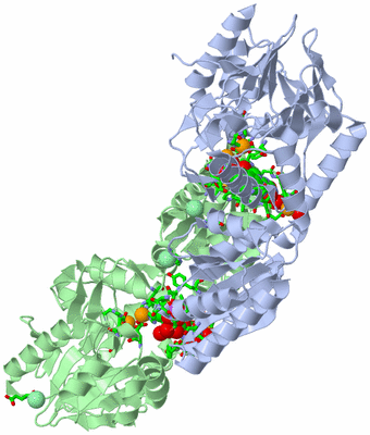 Image Biol. Unit 1 - sites