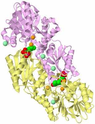 Image Biological Unit 2