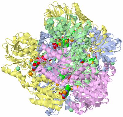 Image Biological Unit 3