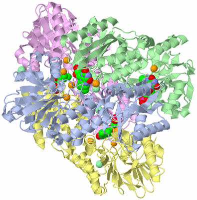 Image Biological Unit 4