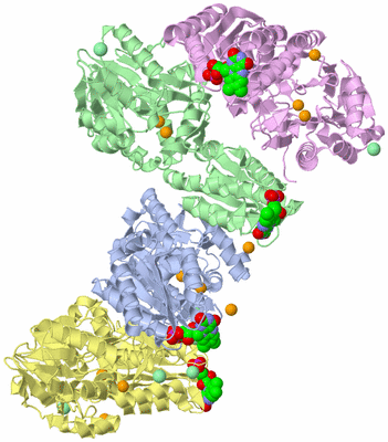 Image Biological Unit 5