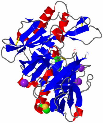 Image Asym./Biol. Unit