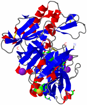 Image Asym./Biol. Unit - sites