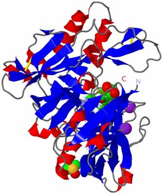 Image Asym./Biol. Unit