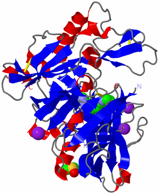 Image Asym./Biol. Unit