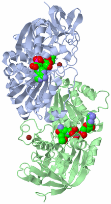 Image Asym./Biol. Unit