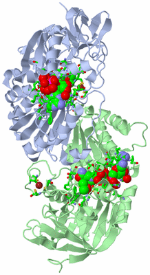 Image Asym./Biol. Unit - sites