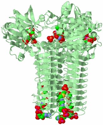 Image Biological Unit 2