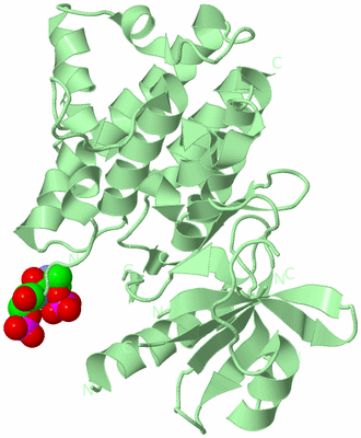 Image Biological Unit 2