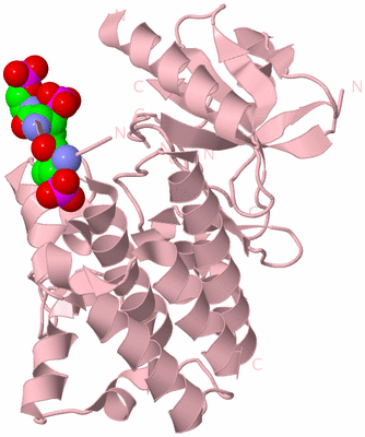 Image Biological Unit 3