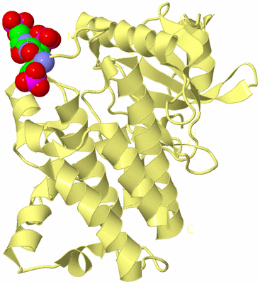 Image Biological Unit 4