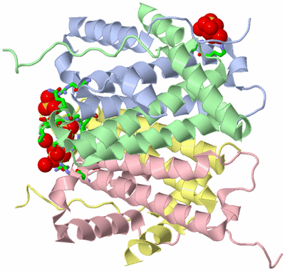 Image Asym./Biol. Unit - sites