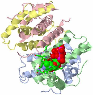 Image Asym./Biol. Unit - sites