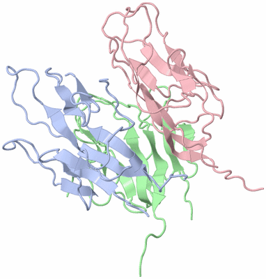 Image NMR Structure - model 1