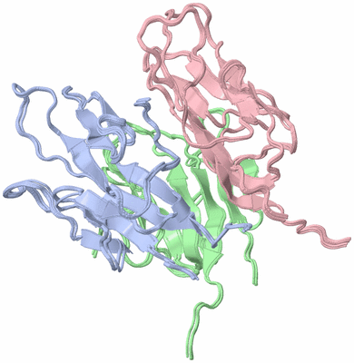 Image NMR Structure - all models