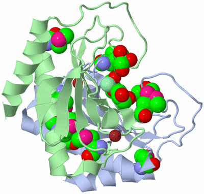 Image Biological Unit 1