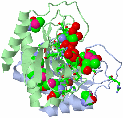 Image Biol. Unit 1 - sites