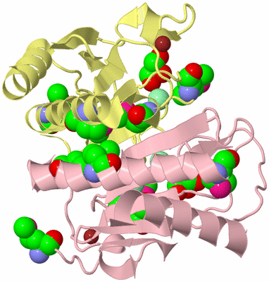 Image Biological Unit 2