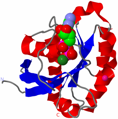 Image Asym./Biol. Unit