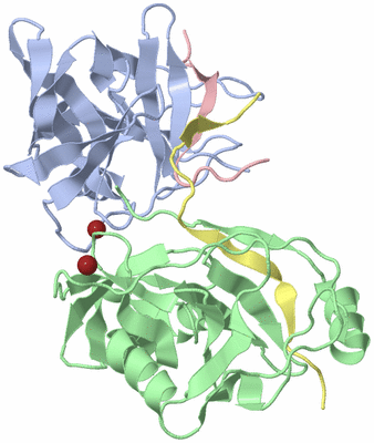 Image Biological Unit 3