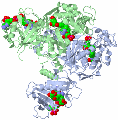 Image Biological Unit 1