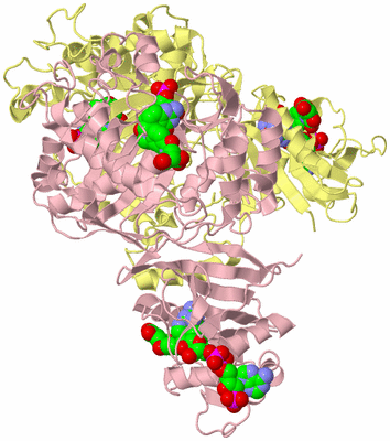 Image Biological Unit 2