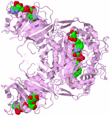 Image Biological Unit 3