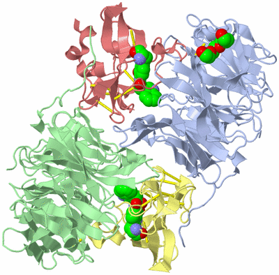 Image Asym./Biol. Unit