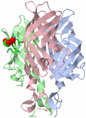 Image Biol. Unit 1 - sites