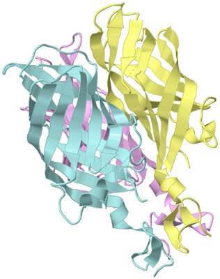 Image Biological Unit 2