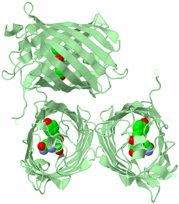 Image Biological Unit 2