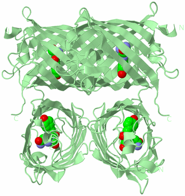 Image Biological Unit 3