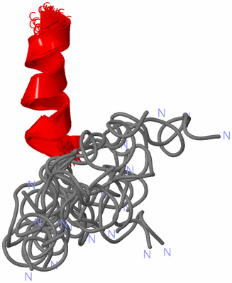 Image NMR Structure - all models