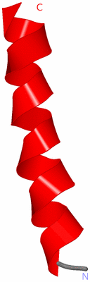 Image NMR Structure - model 1