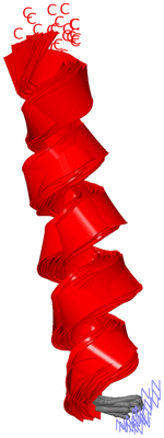 Image NMR Structure - all models