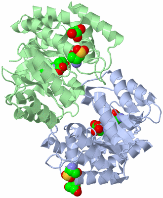 Image Asym./Biol. Unit