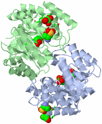 Image Asym./Biol. Unit - sites