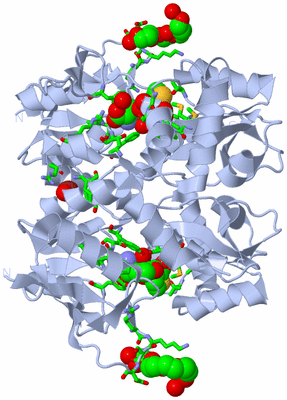 Image Biol. Unit 1 - sites