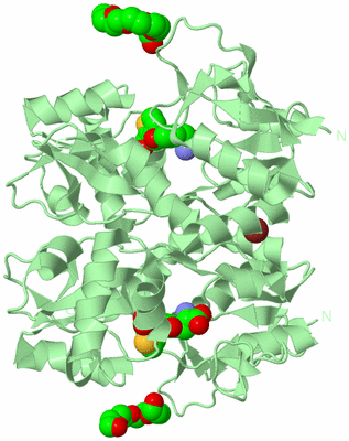 Image Biological Unit 2