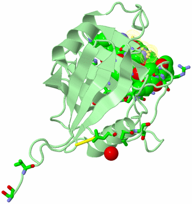 Image Biol. Unit 1 - sites