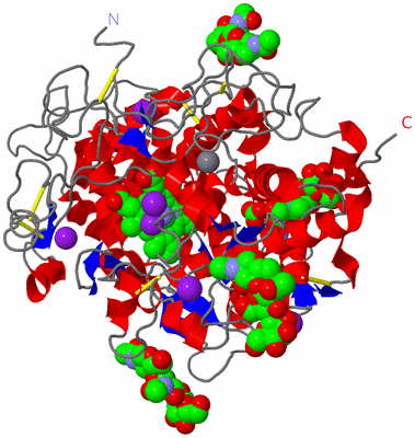 Image Asym./Biol. Unit